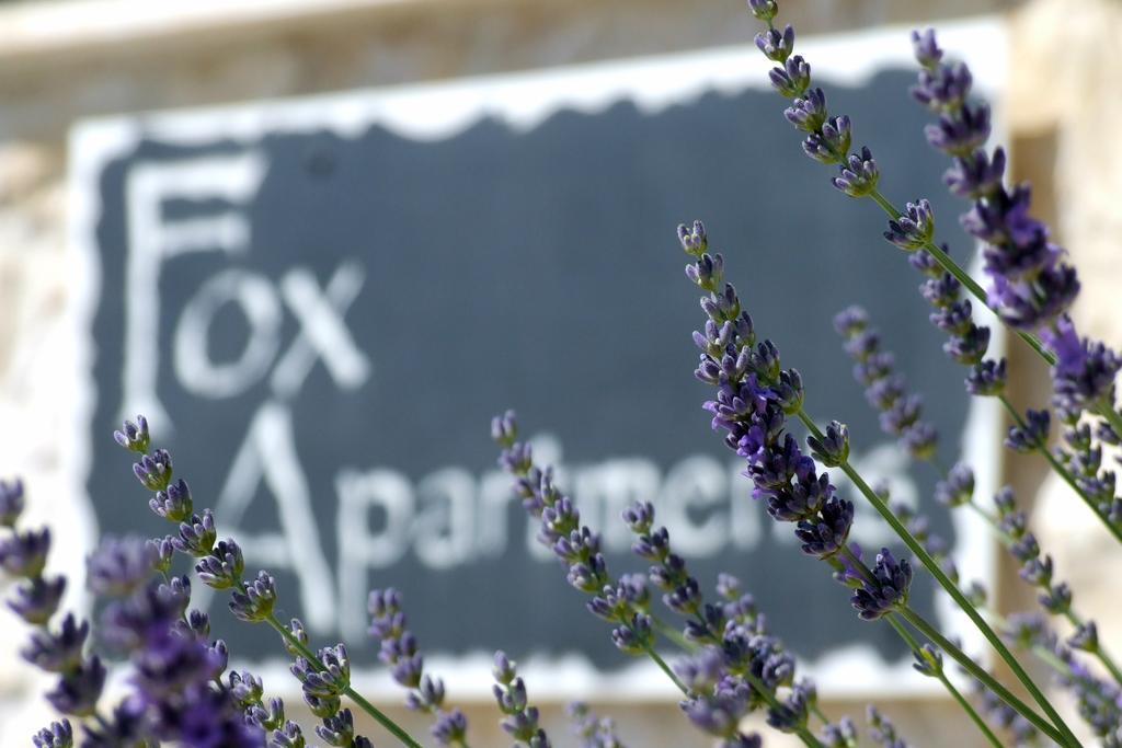 Fox Apartments Cavtat Værelse billede